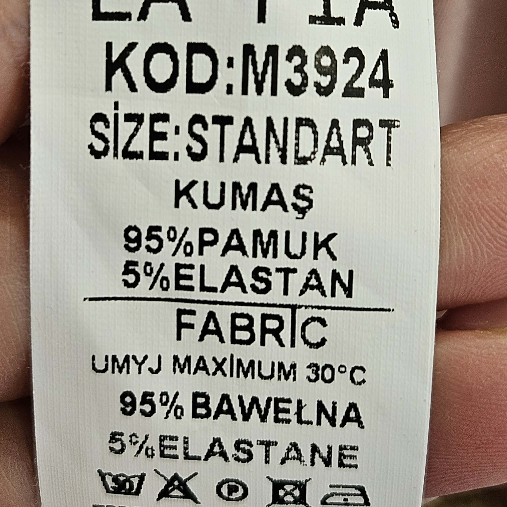Palaidinė