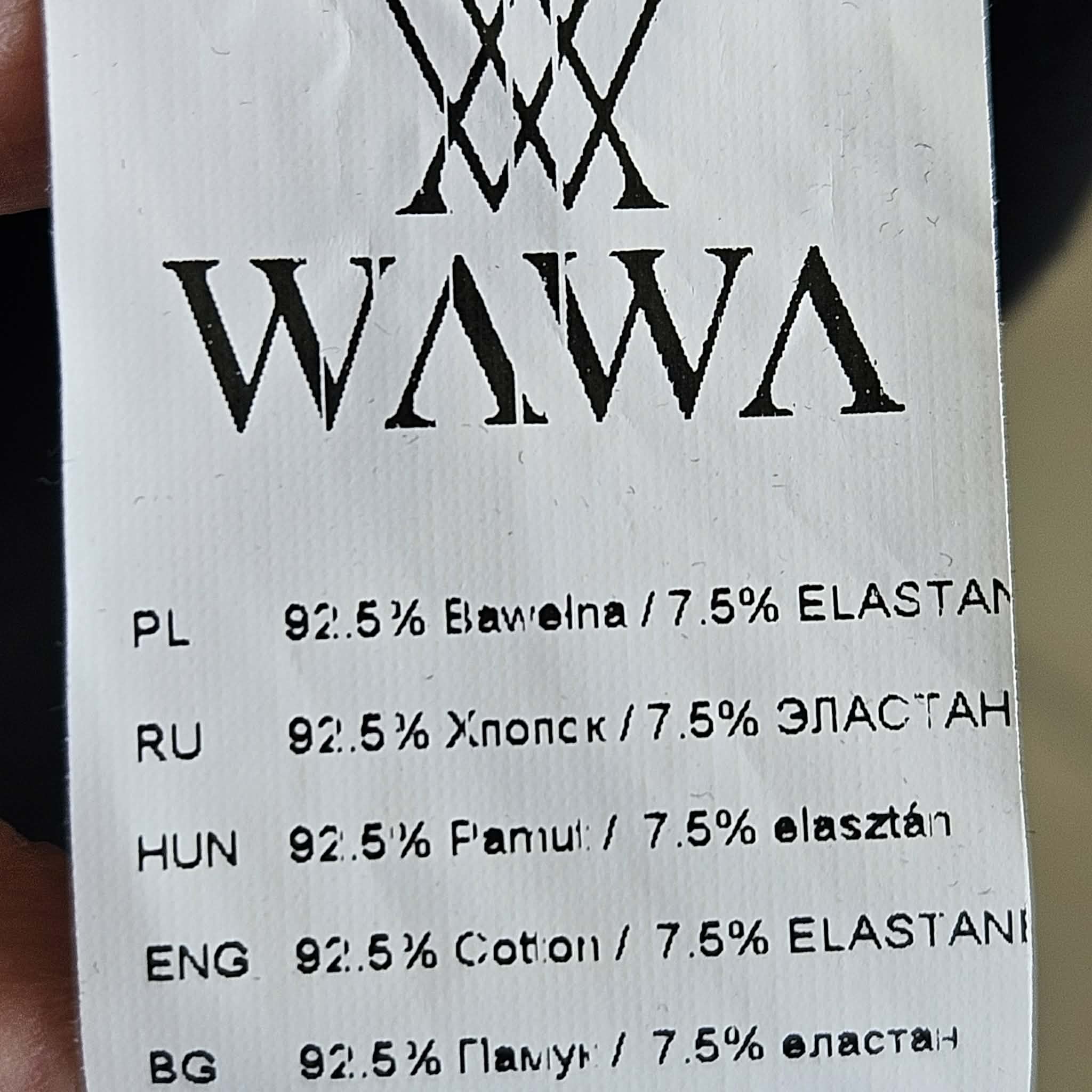 Palaidinė
